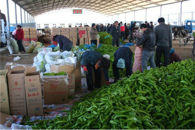 丰收的春天-赤峰信息港