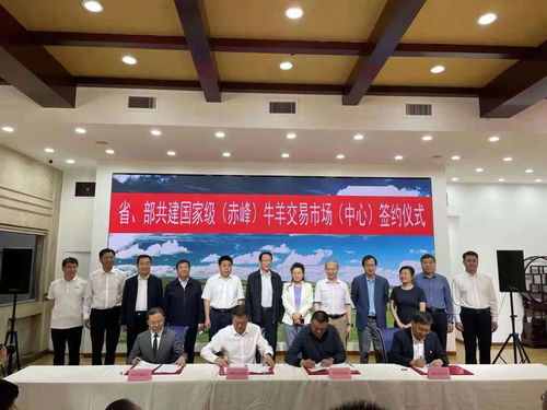 赤峰信息交易市场中心 省部共建国家级平台在赤峰落地